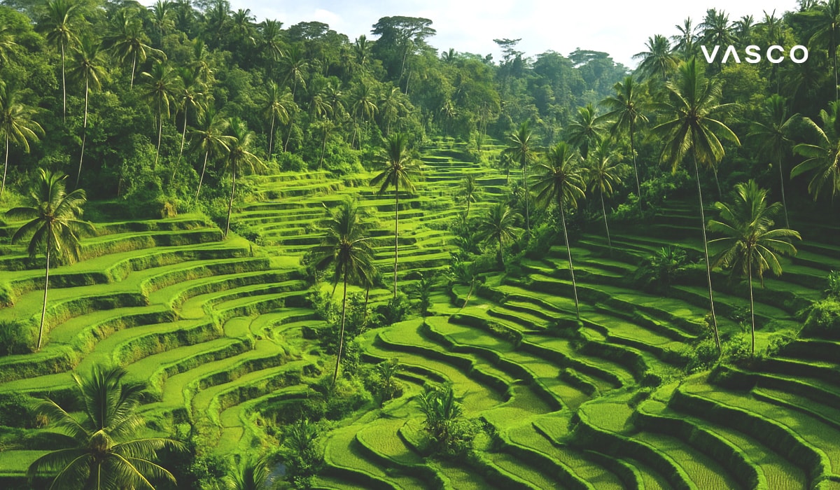 Úžasný výhľad na žiarivo zelené ryžové terasy Tegallalang na Bali, obklopené palmami.